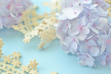 淡い色のアジサイ