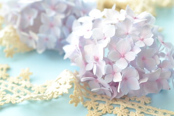紫陽花とレース