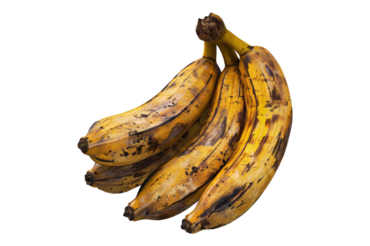 Cupuacu isolated on transparent background