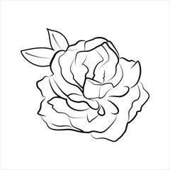 Flowers Abstract Outline Vector Drawing, Flowers Black Color Vector Line Art Design. Minimal Isolated Flowers Vector.