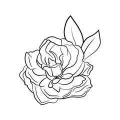 Flowers Abstract Outline Vector Drawing, Flowers Black Color Vector Line Art Design. Minimal Isolated Flowers Vector.