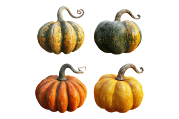 Pumpkin set isolated on transparent background