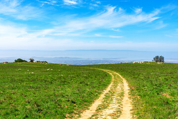 Scenic hillside dirt trail with sweeping vistas of San Francisco Bay Area