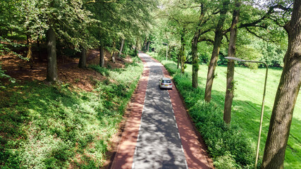Fototapeta premium Bicycle lane on road between trees aerial drone view from above, beautiful cycling path for bikes in Netherlands