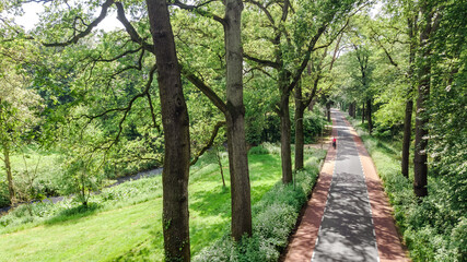 Fototapeta premium Bicycle lane on road between trees aerial drone view from above, beautiful cycling path for bikes in Netherlands
