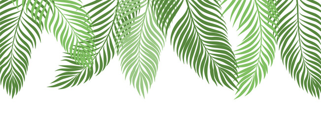 Palm Tree Leaf Border