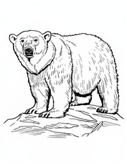 Arctic Adventure: Easy Polar Bear Coloring Page - Coloring Pages for All Ages - Line Art - Relaxing Coloring Pages for Adults - Printable pages - Black and white 