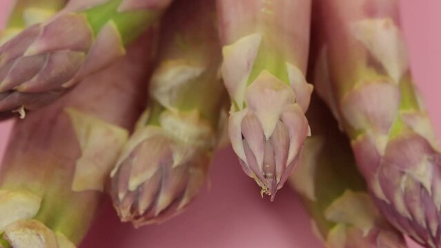 asperges blanches isol&eacute;es sur un fond rose