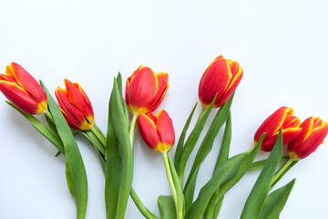 Bouquet of flowers. Yellow and red Tulips on white background. Beautiful flowers for valentines and wedding scene. Valentines and 8 March Mother Women's Day concept.
