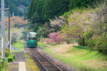 Yufuin No Mori green train on railway through Bungo Nakagawa station