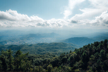 Save the world concept,Green forest and sky in rainy season