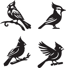 set of silhouettes of cardinal on white background