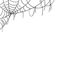 Spider web illustration decorative background