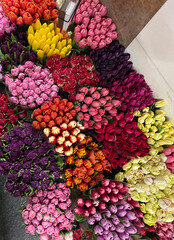 Many beautiful bright colorful tulips for sale, flower bouquet, floral