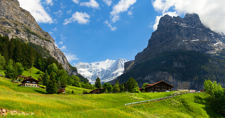 Fototapeta premium Breathtaking panoramic view of the snowy slopes of the Alps and bright green slopes in the Alpine village of Grindelwald