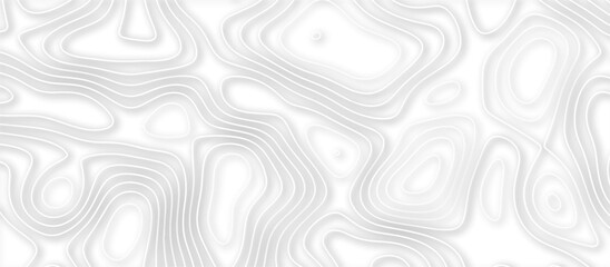 Abstract topographic contours 3d map background .topographic line texture background .monochrome image .stylized height of the topographic map contour in lines.	