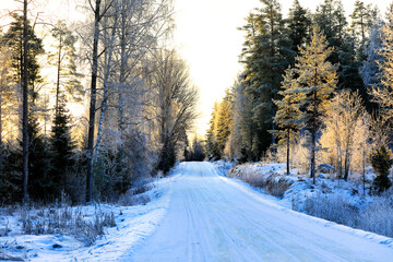 Snowy and Icy Forest Road at Winter Sunrise.