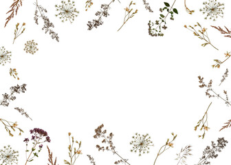 Frame of dried wildflowers and herbs isolated on white. Perfect for creating botanical cards, wedding invitations, frames, designs. Pressed floristry, oshibana.