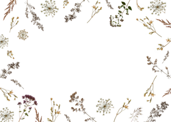 Frame of dried wildflowers and herbs isolated on white. Perfect for creating botanical cards, wedding invitations, frames, designs. Pressed floristry, oshibana.