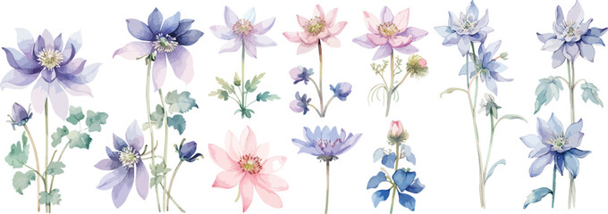 Aquilegia flower clipart vector for graphic resources	