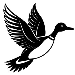 Pintail Duck flying vector silhouette on a white background.