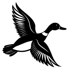 Pintail Duck flying vector silhouette on a white background.