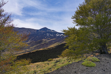 Mount Etna landscape with volcano craters in Sicily, Italy, Europe	
