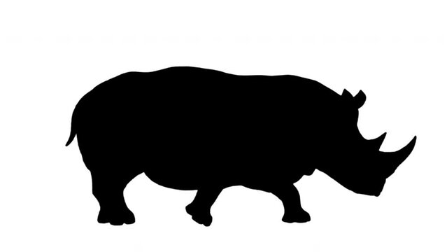 Black silhouette Rhinoceros walking on the white background. Black and white for compositing and presentation. Alpha matte isolated.	
