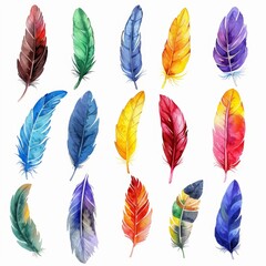 Watercolor illustration of a colorful set of feathers.