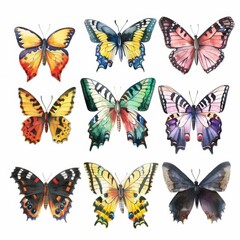 Fototapeta premium Watercolor illustration of a lively butterfly collection.