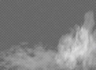 White smoke puff isolated on transparent background.. PNG. . Vector illustration.