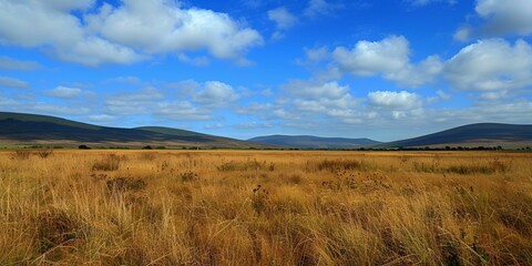 A wide shot of a grassy plain with rolling hills in the distance on a sunny day with a clear blue sky and white clouds