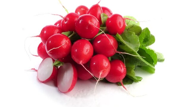  Radieschen Bund