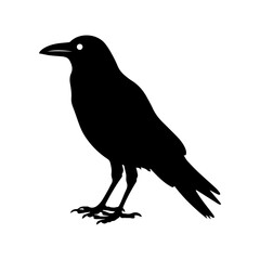 Crow raven bird vector silhouette