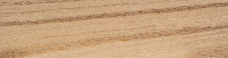 Detailed close up of textured weathered piece of hari veneer wood. Panoramic wood veneer texture.