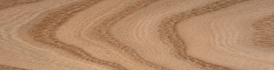 Close-up of elm tree veneer, a graceful wooden surface with timeless natural allure