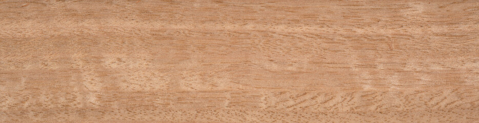 An eucalyptus Frise wood texture in close up © Dmytro Synelnychenko