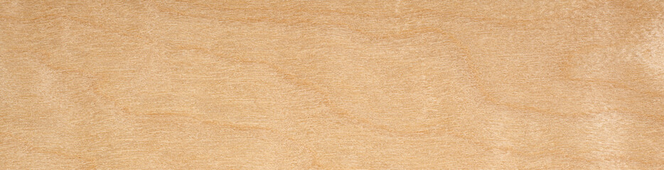 Frozen birch veneer wood texture surface in close up