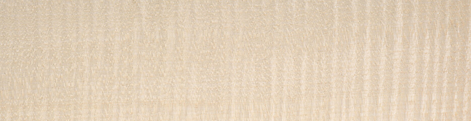 European maple Frise veneer wood texture surface in close up view