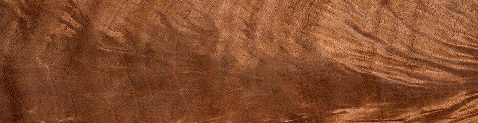 Walnut feather wood texture surface in close up