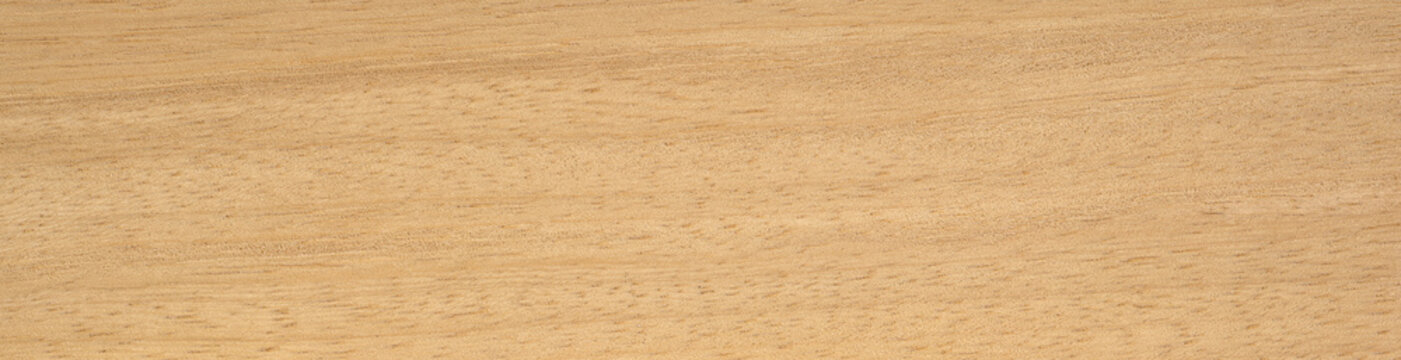 White limba wood texture surface with fine grains