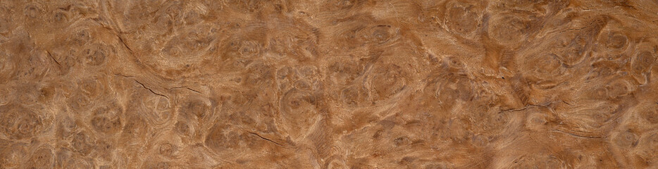 Oak burl veneer showcasing intricate swirls and rich, complex patterns