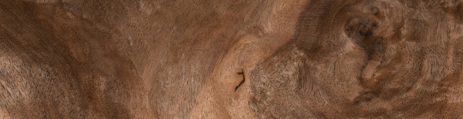 Obraz premium Walnut briar veneer exhibiting rich, dark swirls and intricate wood grain