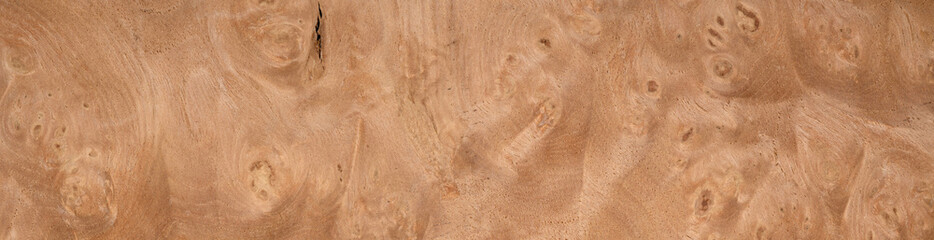 Elegant chestnut burial veneer showcasing rich, swirling grain patterns