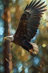 a flying American eagle with blurred background.