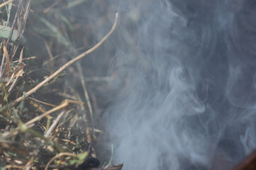 Smoke from burning dry grass close-up