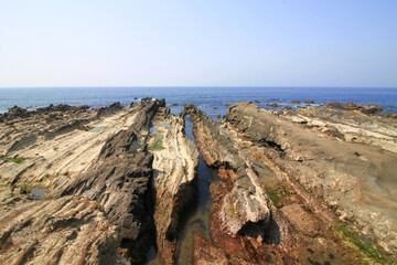 Photo of the strata at Arasaki Coast on the Miura Peninsula