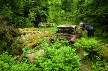 Scrap yard in forest, Man photographing an old abandoned car overgrown with lush green vegetation,...