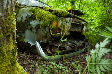Scrap yard in forest, Abandoned old car overgrown with lush green vegetation, Rear bumper part detail, Selective focus, Båstnäs Car Cemetery in Sweden