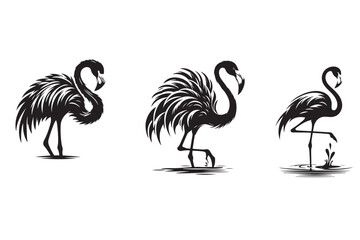  Flamingo silhouette vector illustration